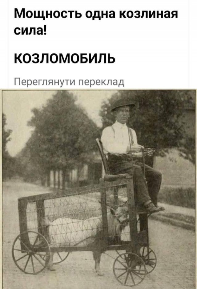Картинки на понедельник 21.06.2021