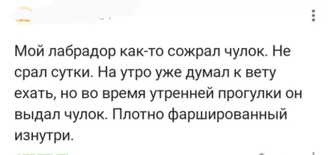 Как зашить чулки? Ждём мастер класс от Par 9