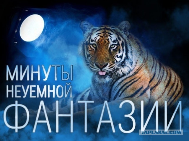 В школе парень унизил девушку 15 лет, сорвав с нее бюстгальтер. Вот как поступила мама девочки…