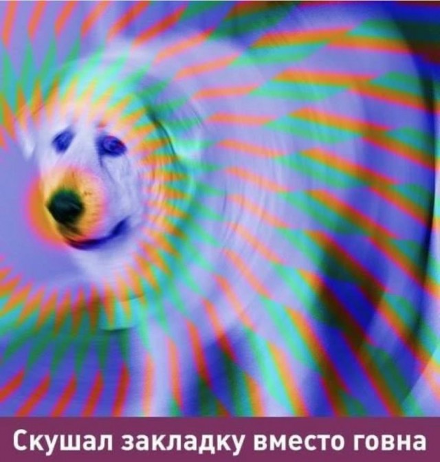 Аморальная деградация