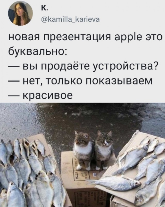 Так себе картинки 08.03.22