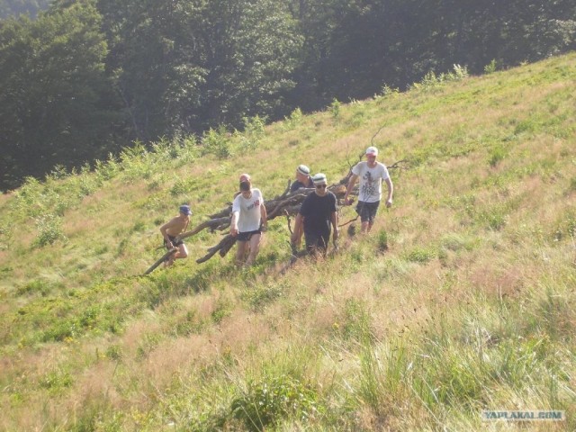 Карпаты 2011