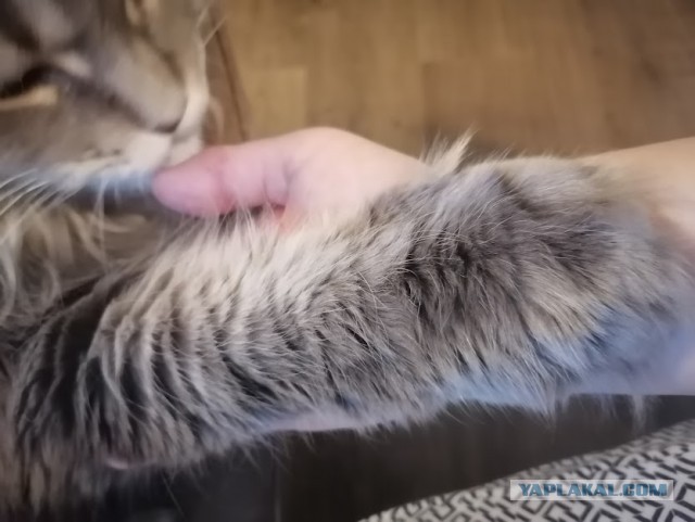 Простим?