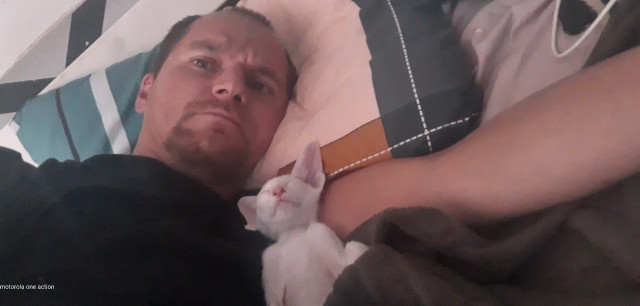 А как вы спите с котиком?