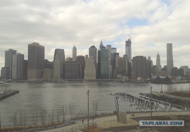 Америка для начинающих