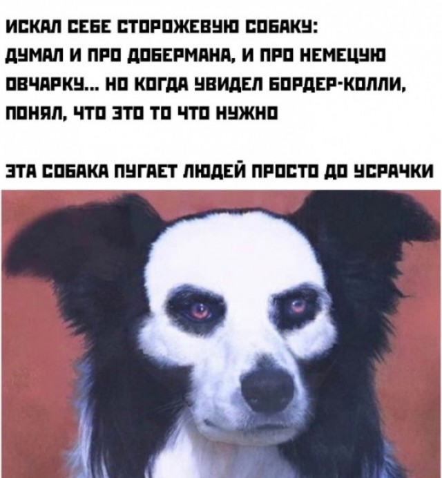 Весёлый полтишок 07.01.23