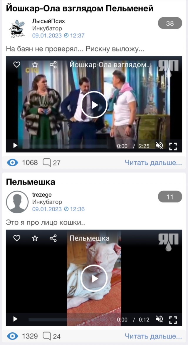 Йошкар-Ола взглядом Пельменей