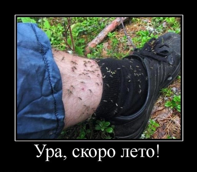 Скорей бы лето!