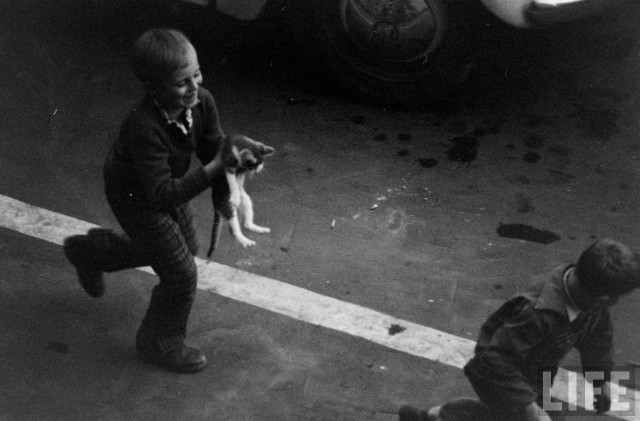 Москва и москвичи, 1962-1963 гг