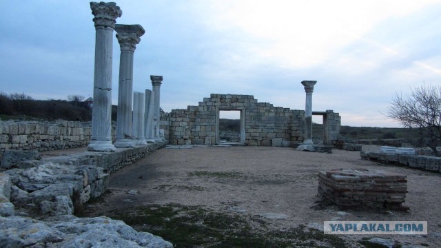 Крым в феврале или "Не стреляйте в белых лебедей!"