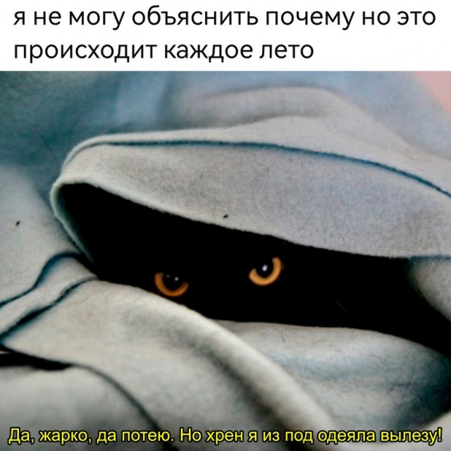 Картинки и мемы, всяко разно - 183