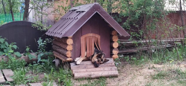 Вдогонку теме, которая в золоте