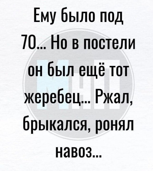 Вот такой у нас конь!
