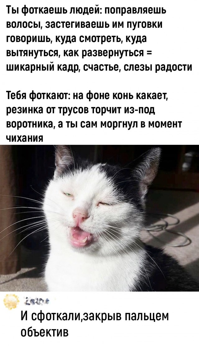 Отряд быстрого деградирования