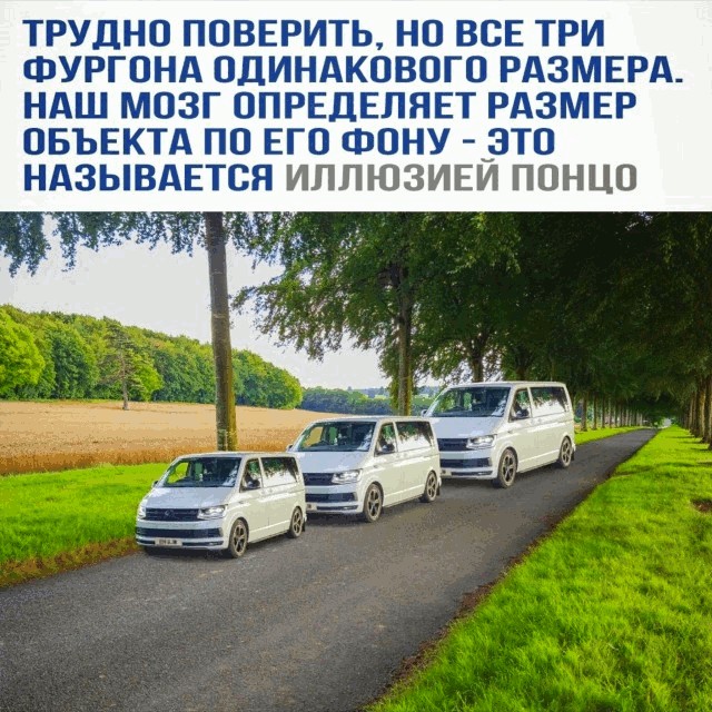 Иллюзия