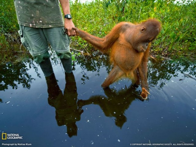 Лучшие фото от National Geographic