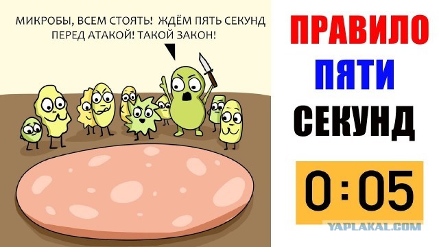 Любите шаверму?