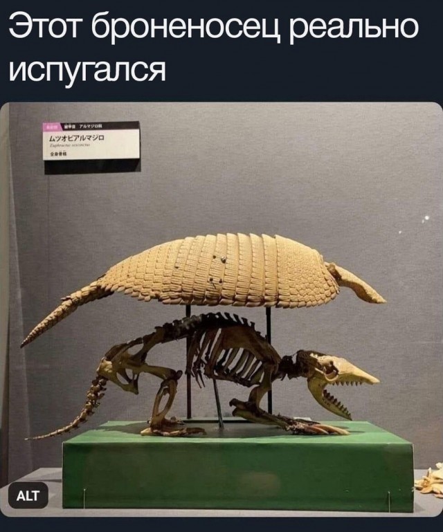 Так себе картинки 28.08.24