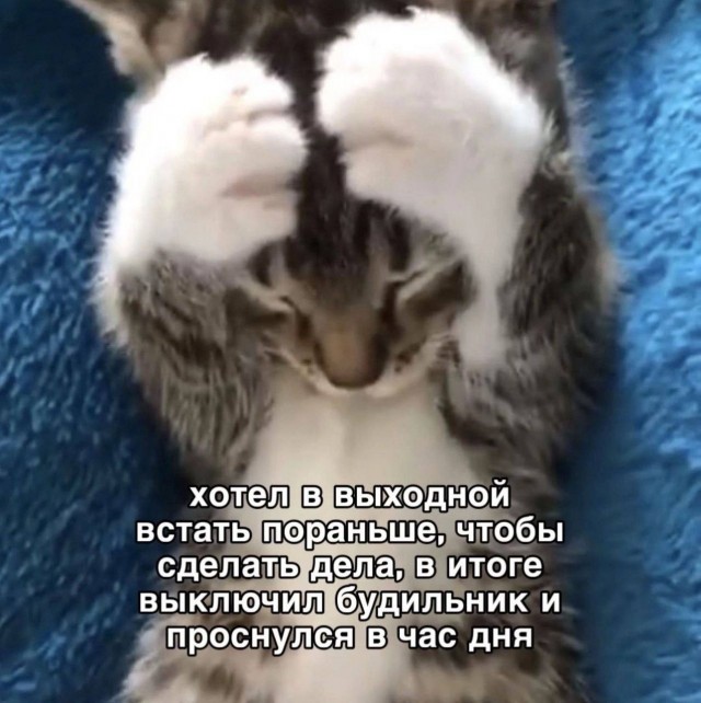 Так себе картинки 06.10.24