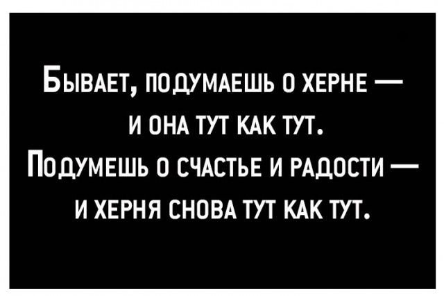 Нуштош 08.10.2024