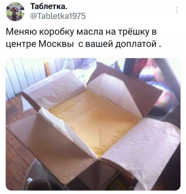 Немного забавных картинок от 22.12.24
