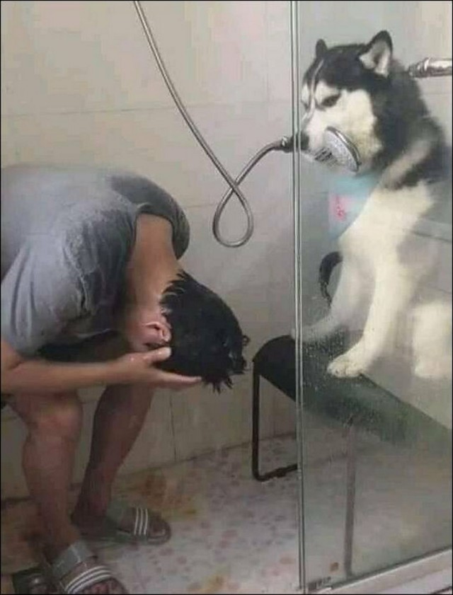 Картинки разные с надписями и без