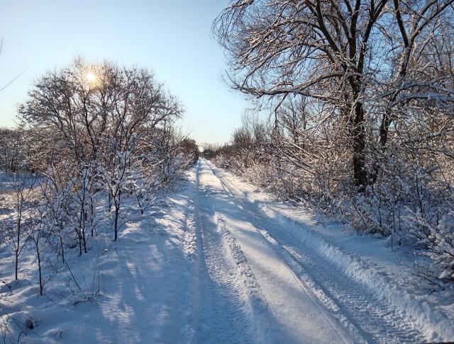 Чапаевске луга.