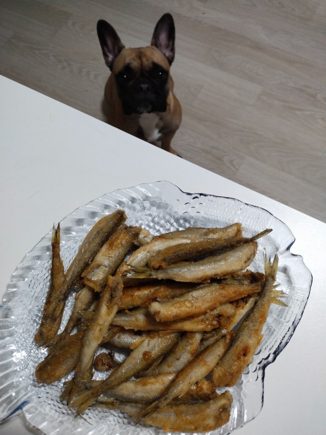 Опасный зверюга