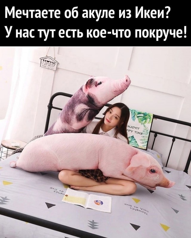 Так себе картинки 20.05.25