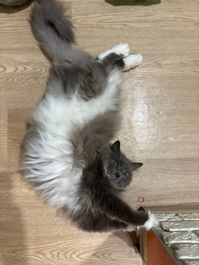 Натыгыдыкался