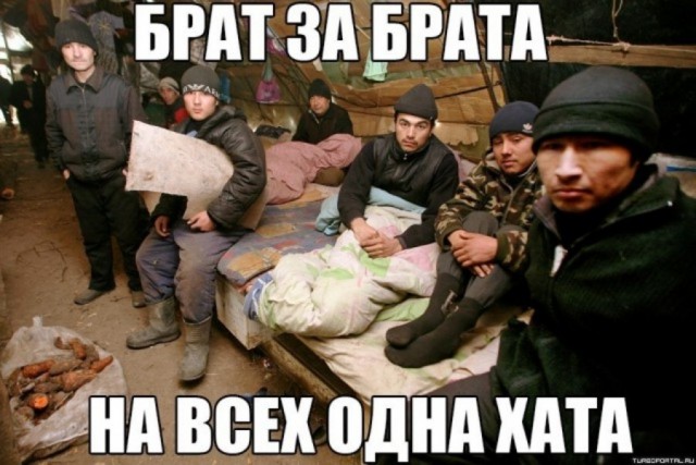 Пятничные 100м2 дичи