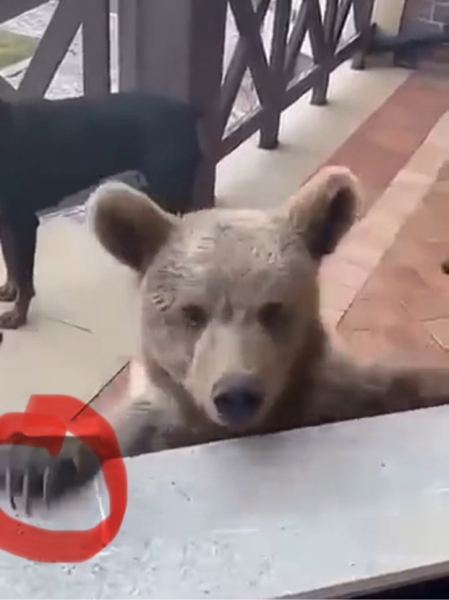 Пригласили друзей