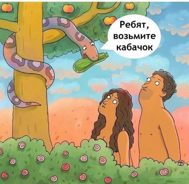 Про кабачки