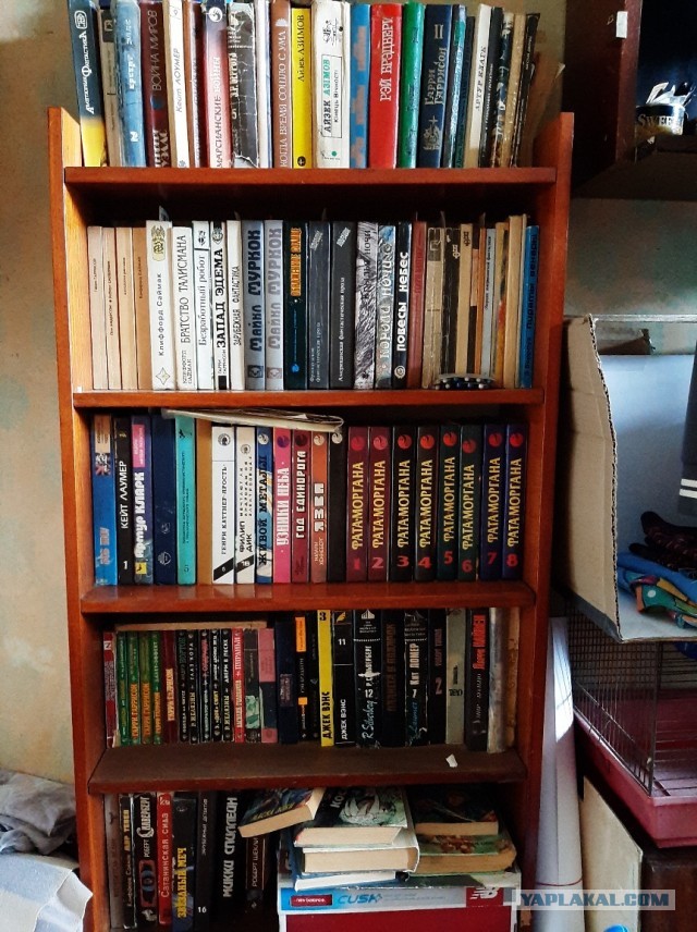 А книга в какую цену?