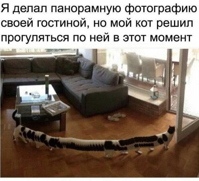 Вторник . Немного картинок