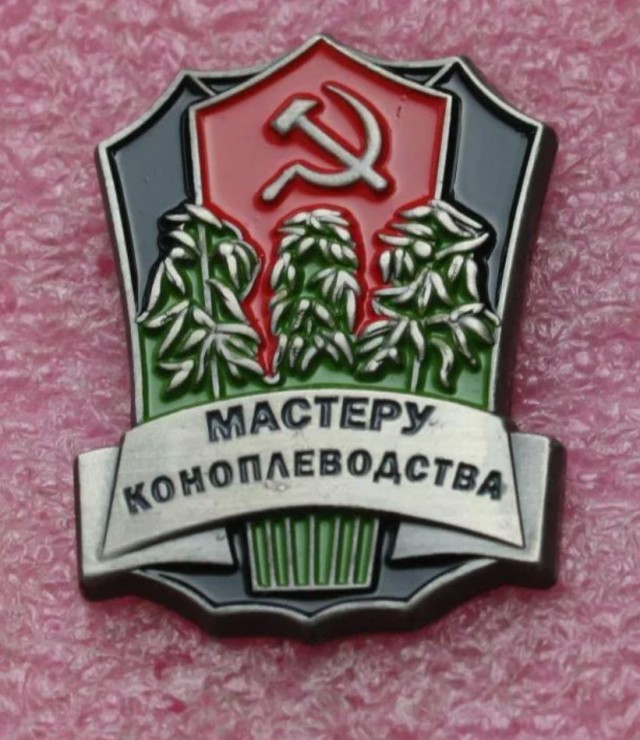 В Питере мужчина вырастил целую плантацию конопли прямо в квартире