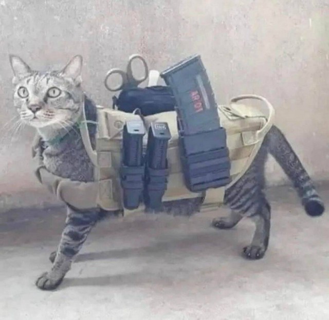 *Зачёркнуто*