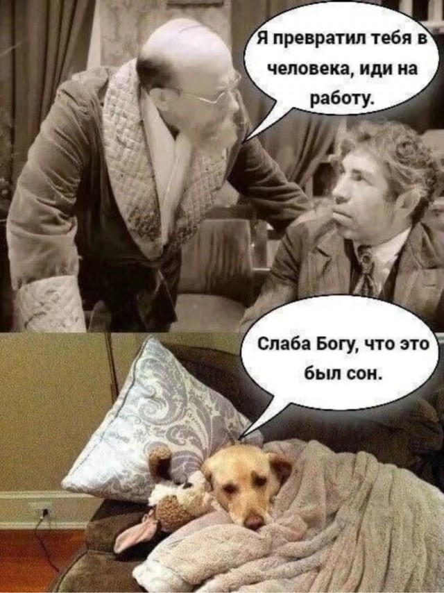 Деградация