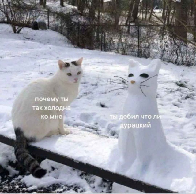 Носи с честью!