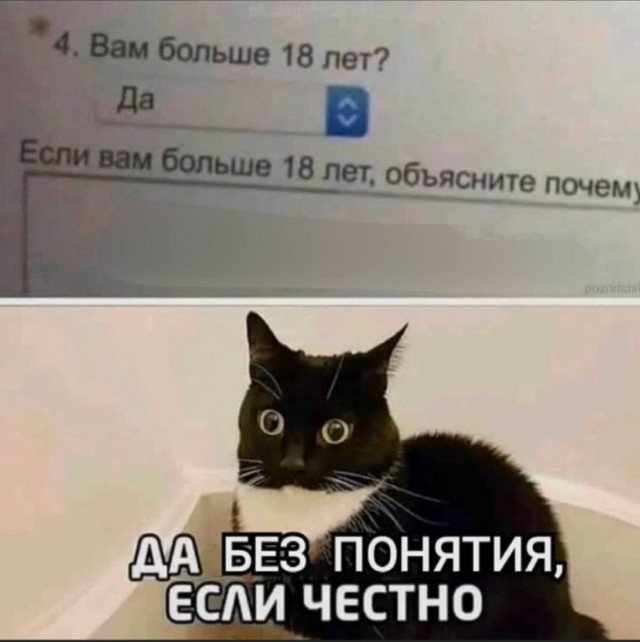 Картинки для деградации 120 (разной степени свежести)
