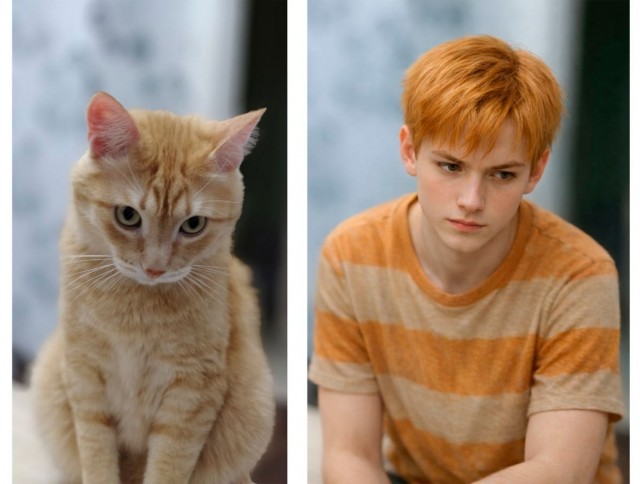 А котовторник уже пришёл?