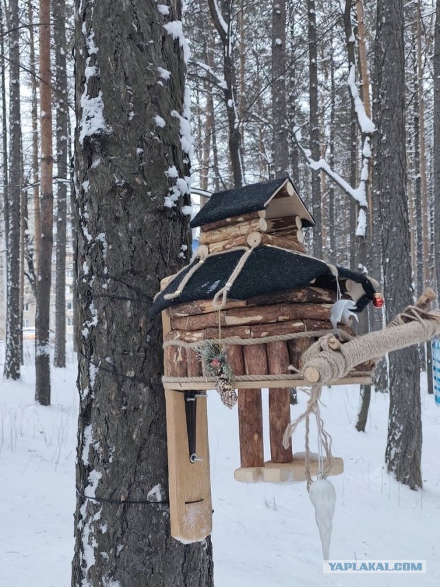 С белочкой нужно дружить заранее! Или пост про рукожопство.