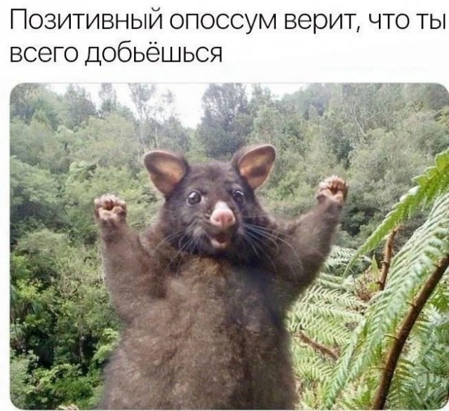 Немного картинок на ночь