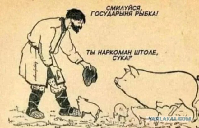 Веселые картинки в маленькую пятницу (15.04)