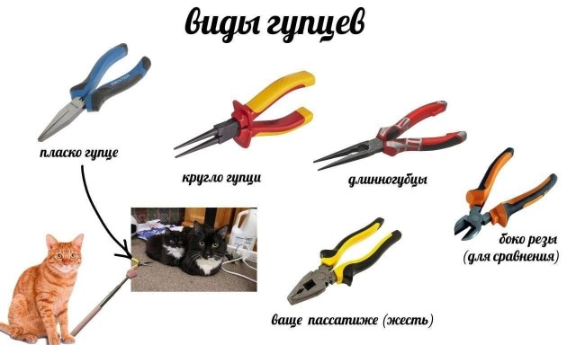 Картинки для деградации 219 (разной степени свежести)