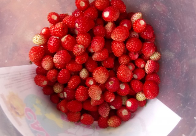 Середина июня