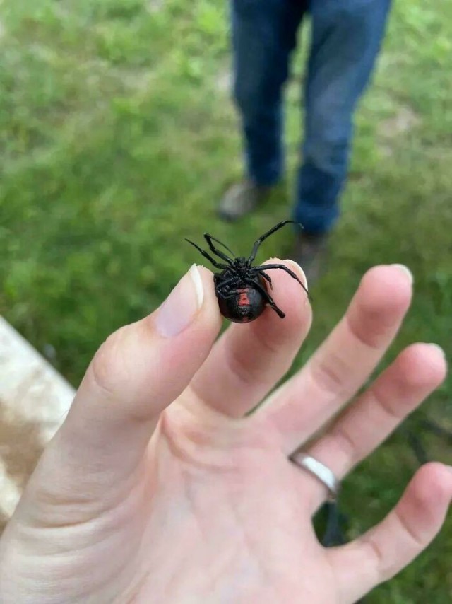 За секунду до...