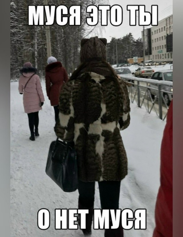 Картинки для деградации 256 (разной степени свежести)