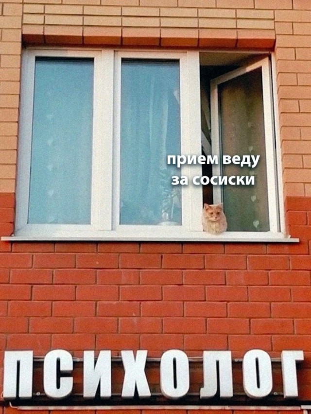 Психомемы-8