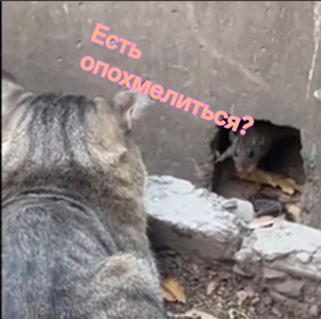 Тот случай, когда обоим лень начинать эту суету